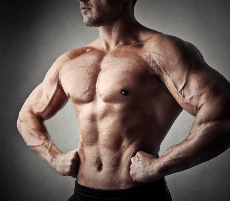 Muscle Growth